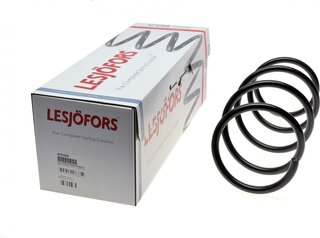 Lesjofors 4072939