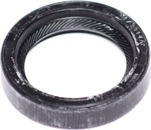Elring 303.291