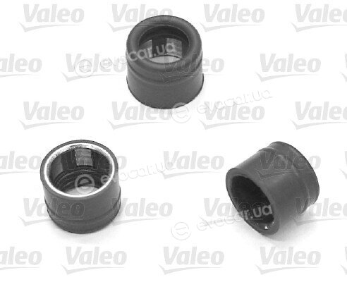 Valeo 509551