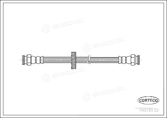 Corteco 19018132