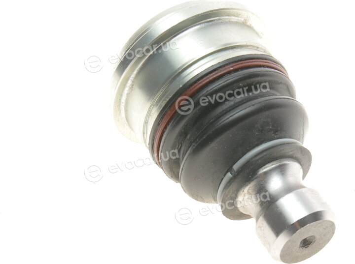 Magneti Marelli 301191618600