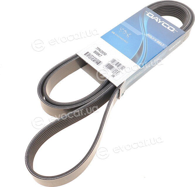 Dayco 7PK2050