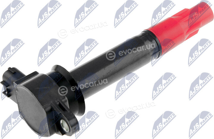 NTY ECZ-MS-020