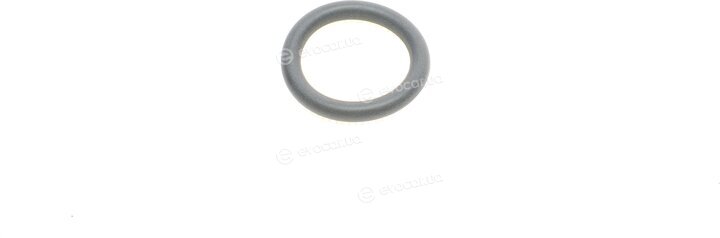 Elring 537.850
