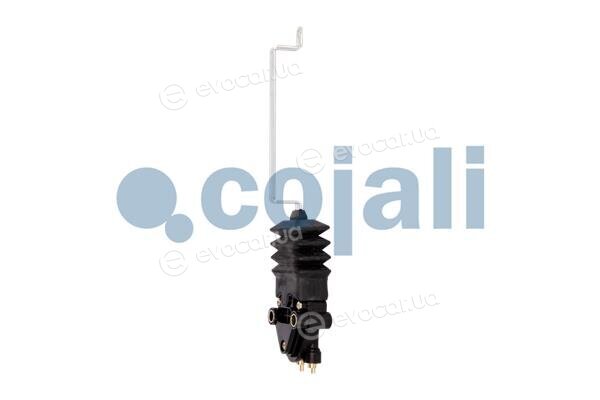 Cojali 2214519