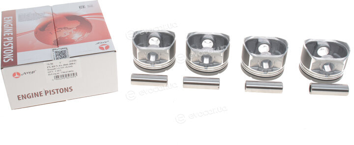 AMP PX-REN-4A-3841-000-C