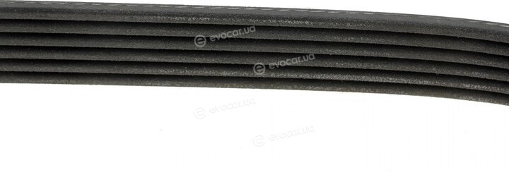 Dayco 6PK2135