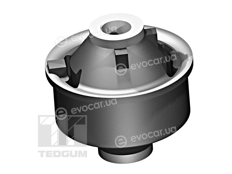 Tedgum 00676538