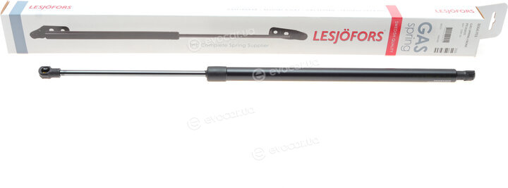 Lesjofors 8066703