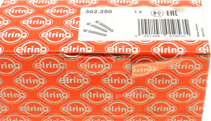 Elring 302.250