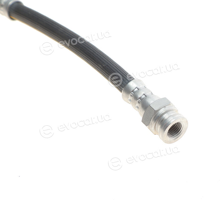 Solgy 210001