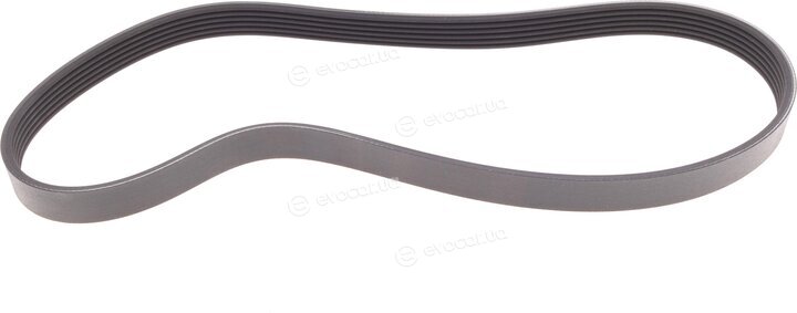 Continental 6PK923