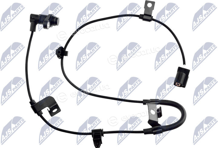 NTY HCA-MS-083