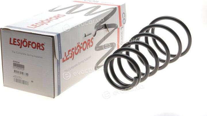 Lesjofors 4244216