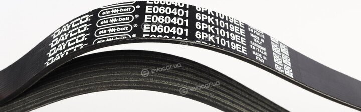 Dayco 6PK1019EE