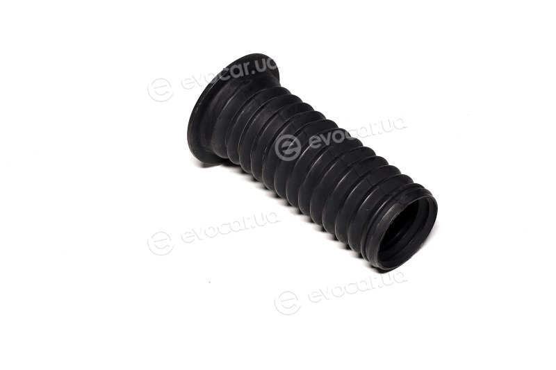 Sasic 2654032