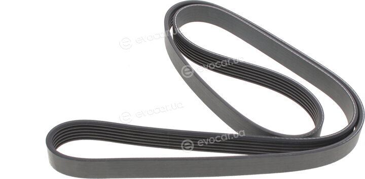Dayco 6PK1538