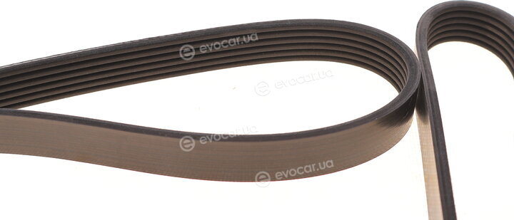 Dayco 6PK1655