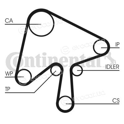 Continental CT1136K1