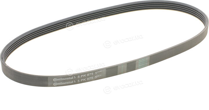 Continental 5PK875