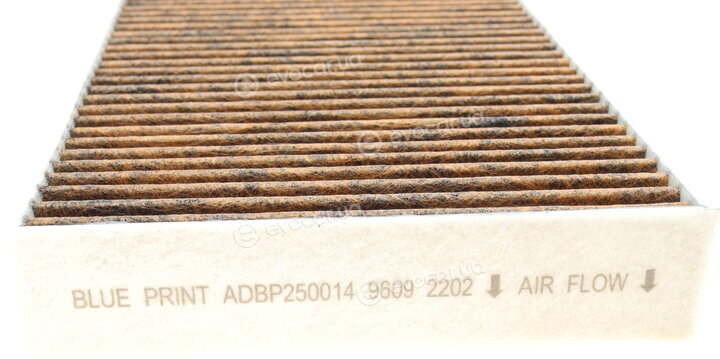 Blue Print ADBP250014