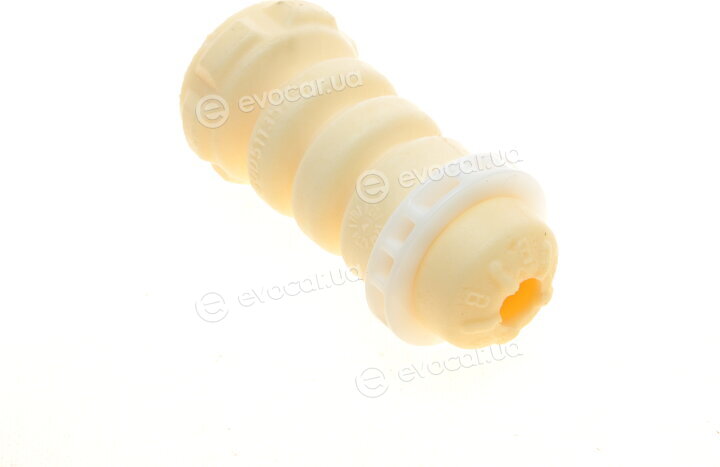 Borsehung B10022