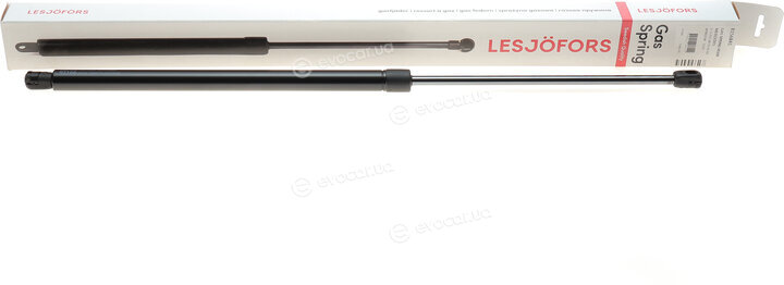 Lesjofors 8156841