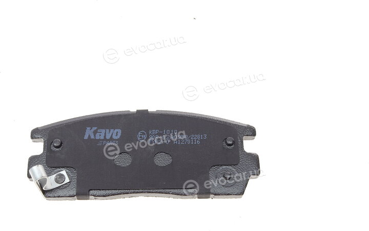 Kavo KBP-1010