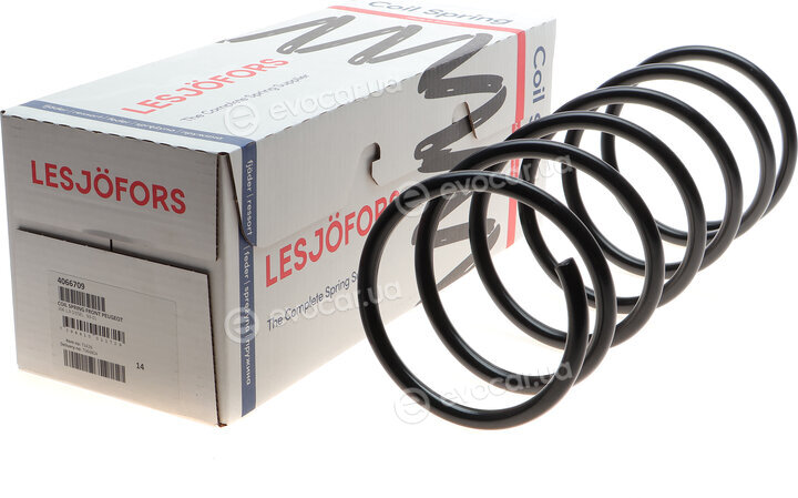 Lesjofors 4066709
