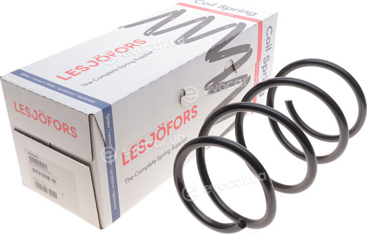 Lesjofors 4008483