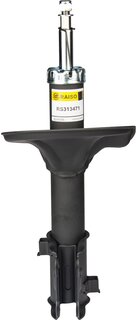 Raiso RS313471