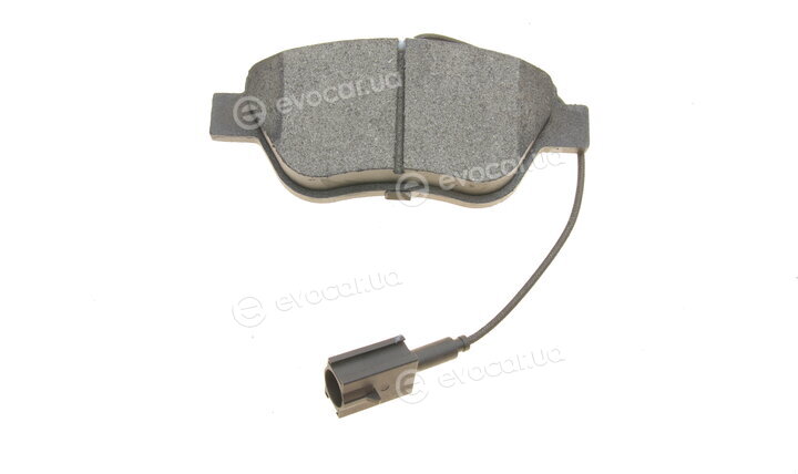Solgy 209044