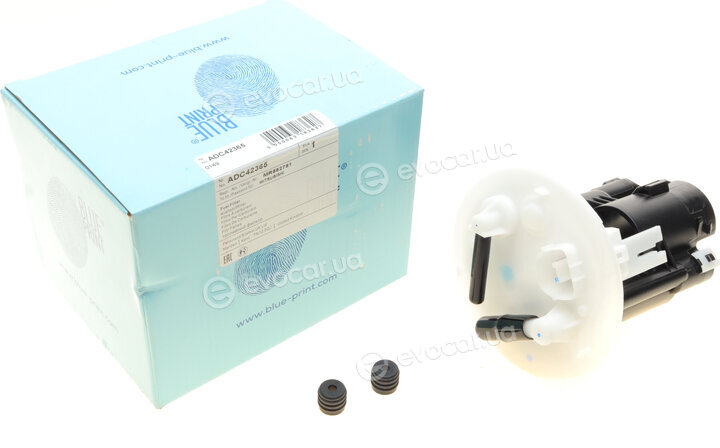 Blue Print ADC42365