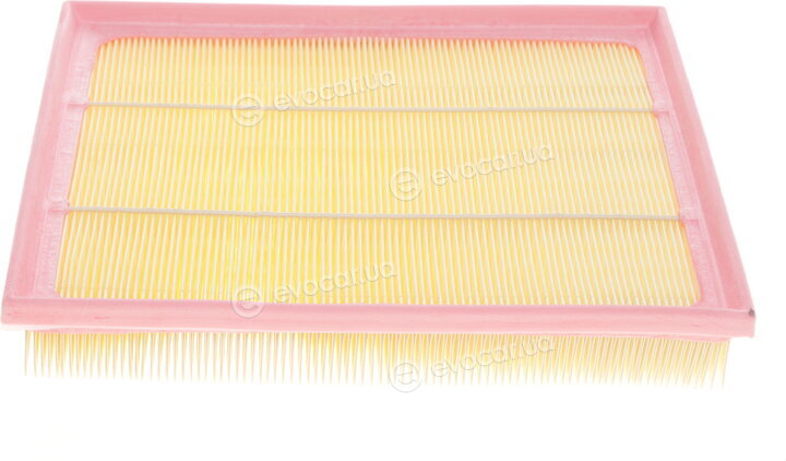 Solgy 103052
