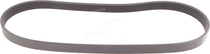 Continental 6PK905 EXTRA