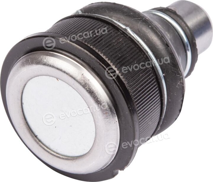 Raiso RL364036C