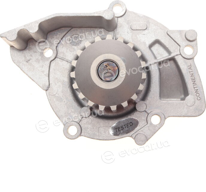 Continental CT1091WP1