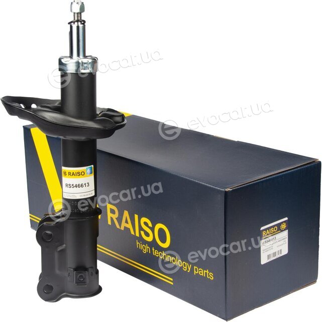 Raiso RS546613