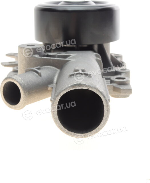 Hepu P135
