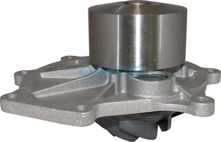 Dayco DP429