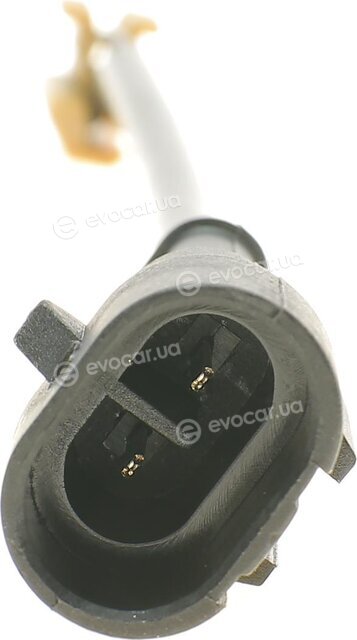 AIC 55338