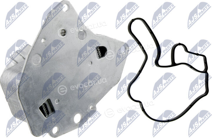 NTY CCL-PL-005A