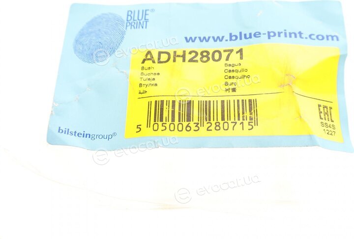 Blue Print ADH28071