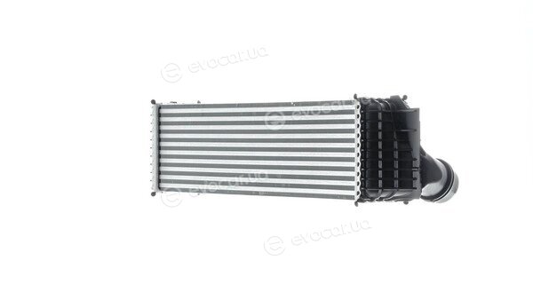 Mahle CI 184 000P