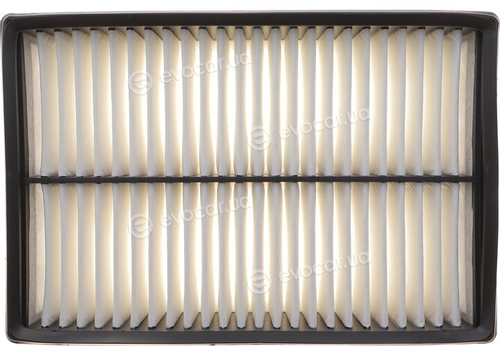 Solgy 103184