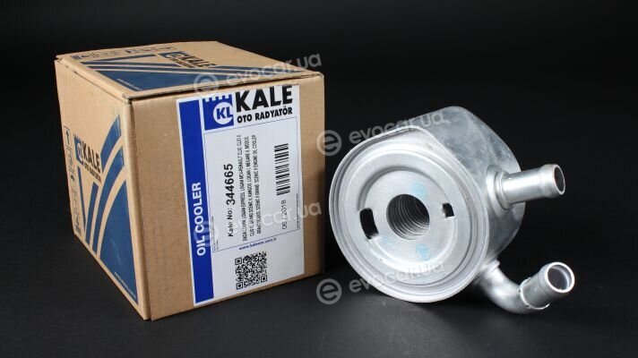 Kale 344665