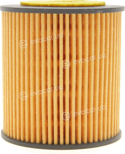 Solgy 101058