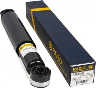 Raiso RS280979