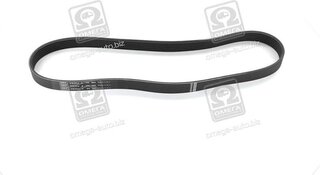 SKF VKMV 6PK923