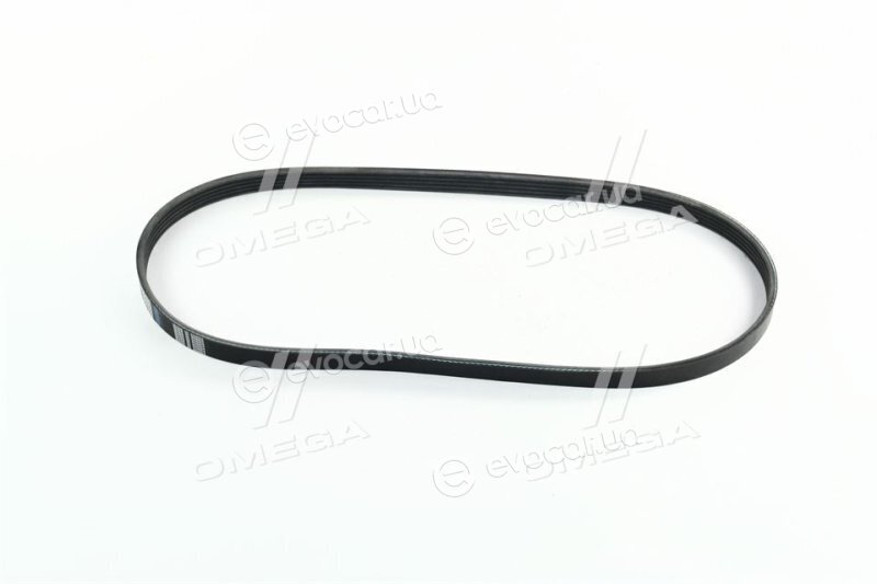 Dongil 5PK955